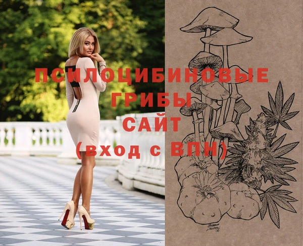 стафф Абинск
