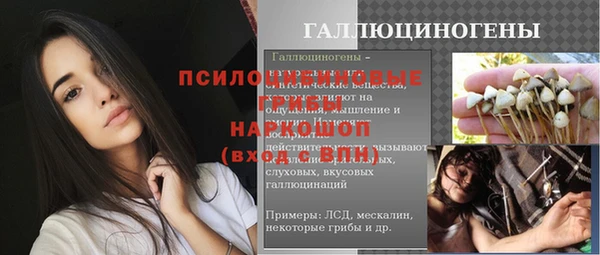 стафф Абинск