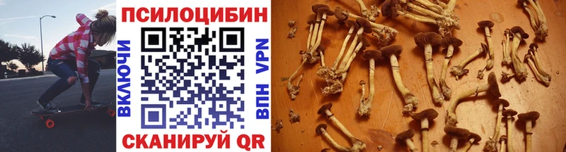 ОМГ ОМГ маркетплейс  Керчь  Псилоцибиновые грибы Psilocybe 